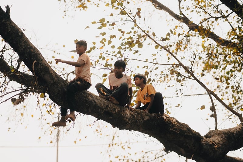 Treehouse Wedding